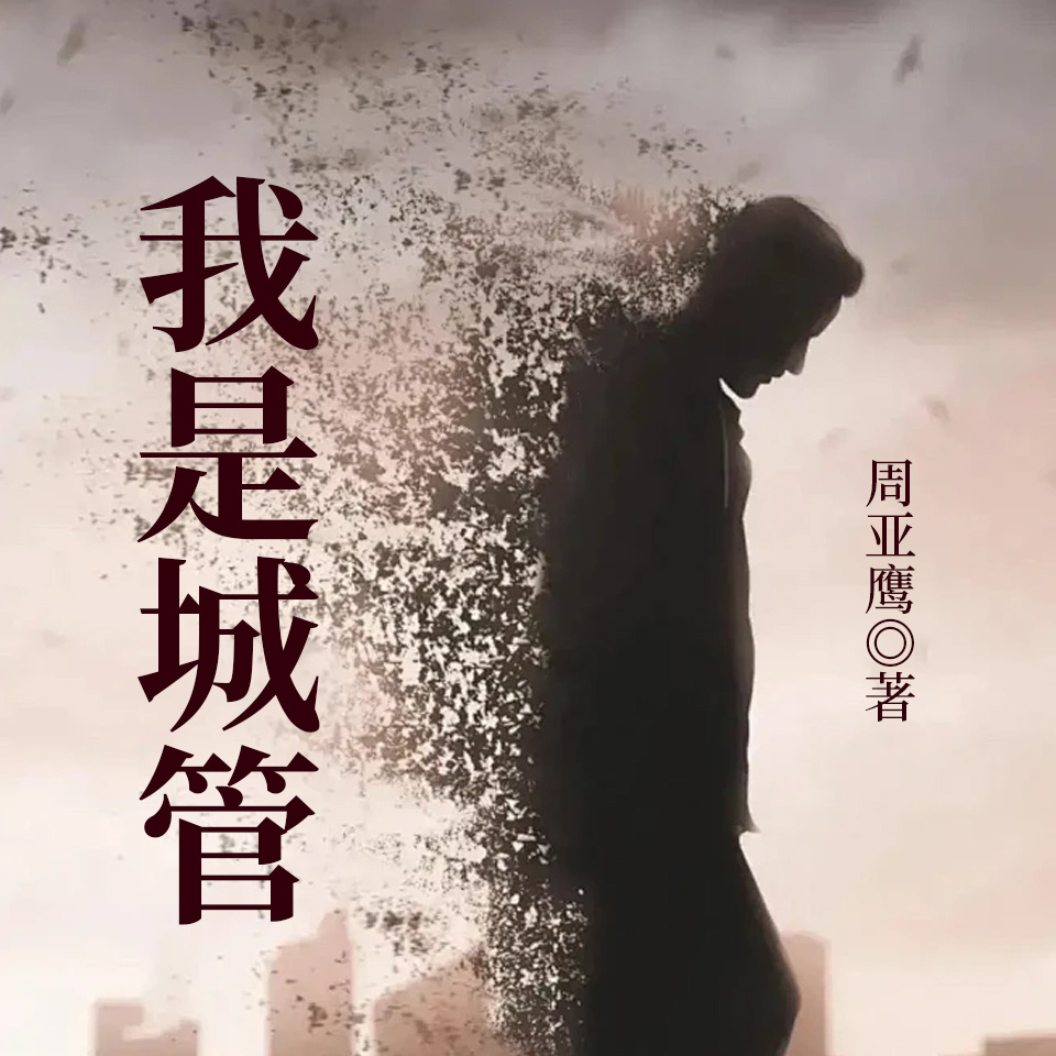 我在北京当城管|都市底层人民生活图鉴