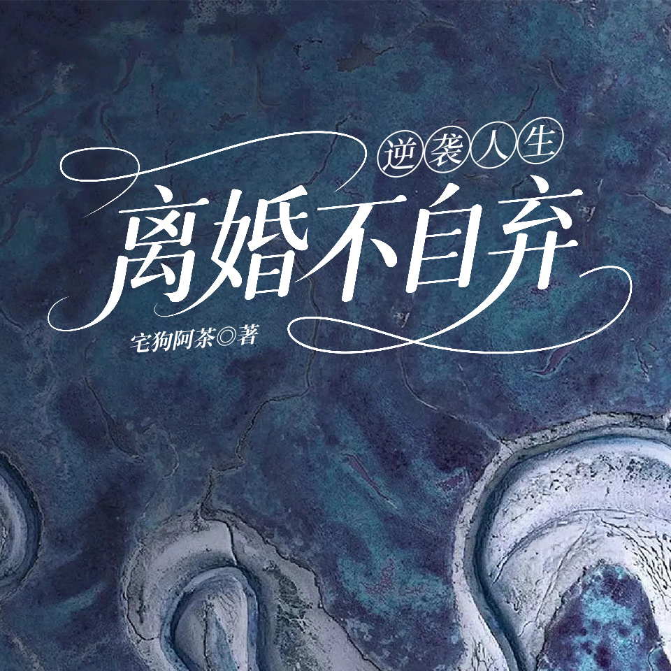 逆袭人生：离婚不自弃