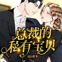 总裁的私有宝贝