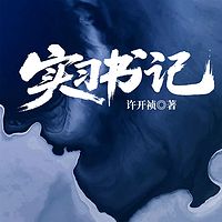 实习书记