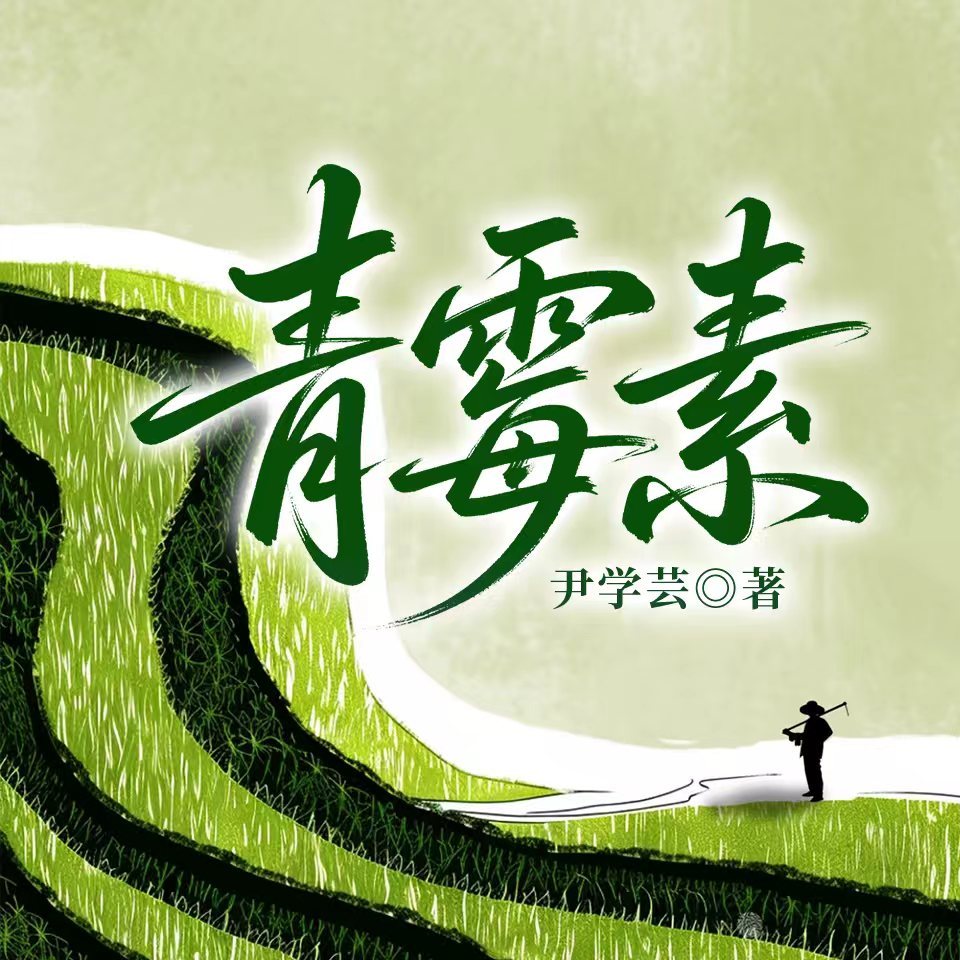 青霉素|家庭伦理|婚姻生活