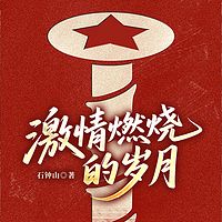 激情燃烧的岁月（经典版）