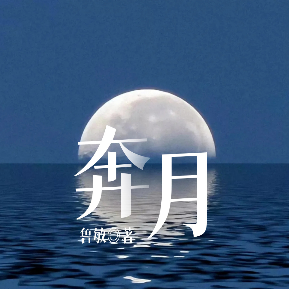 奔月（鲁敏）