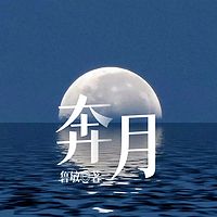 奔月（鲁敏）