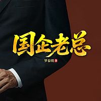 国企老总