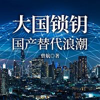 大国锁钥：国产替代浪潮