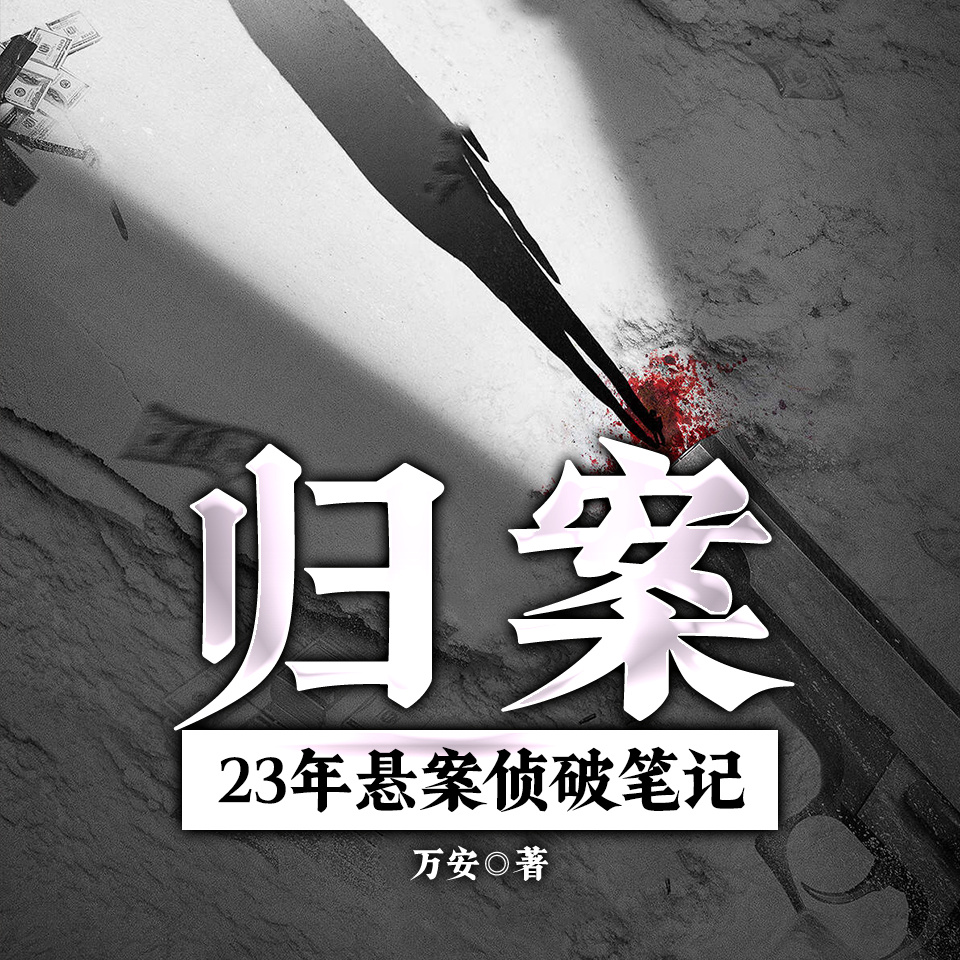 归案:23年悬案侦破笔记