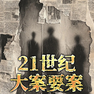21世纪大案要案