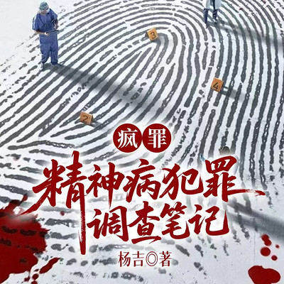 疯罪:精神病犯罪调查笔记