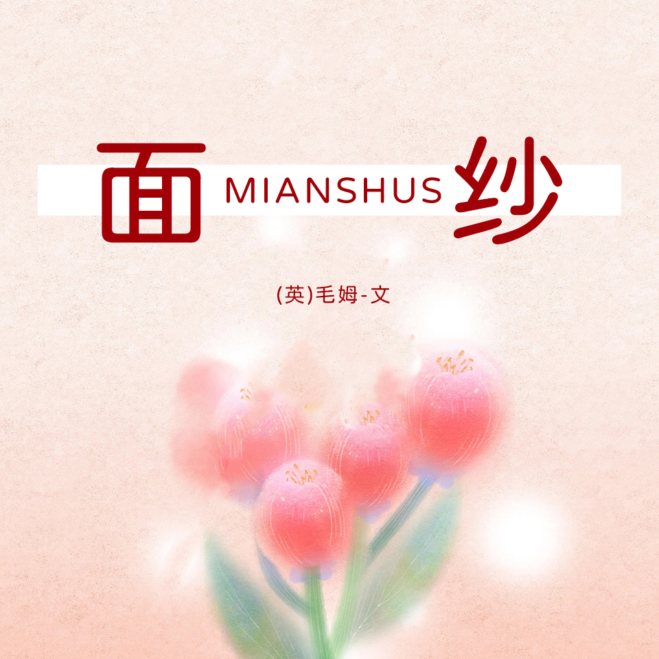 面纱.
