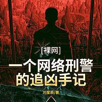 裸网：一个网络刑警的追凶手记