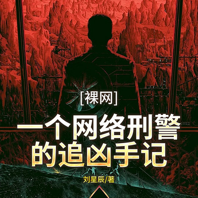 裸网：一个网络刑警的追凶手记