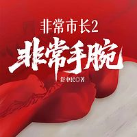 非常市长2：非常手腕
