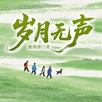 岁月无声