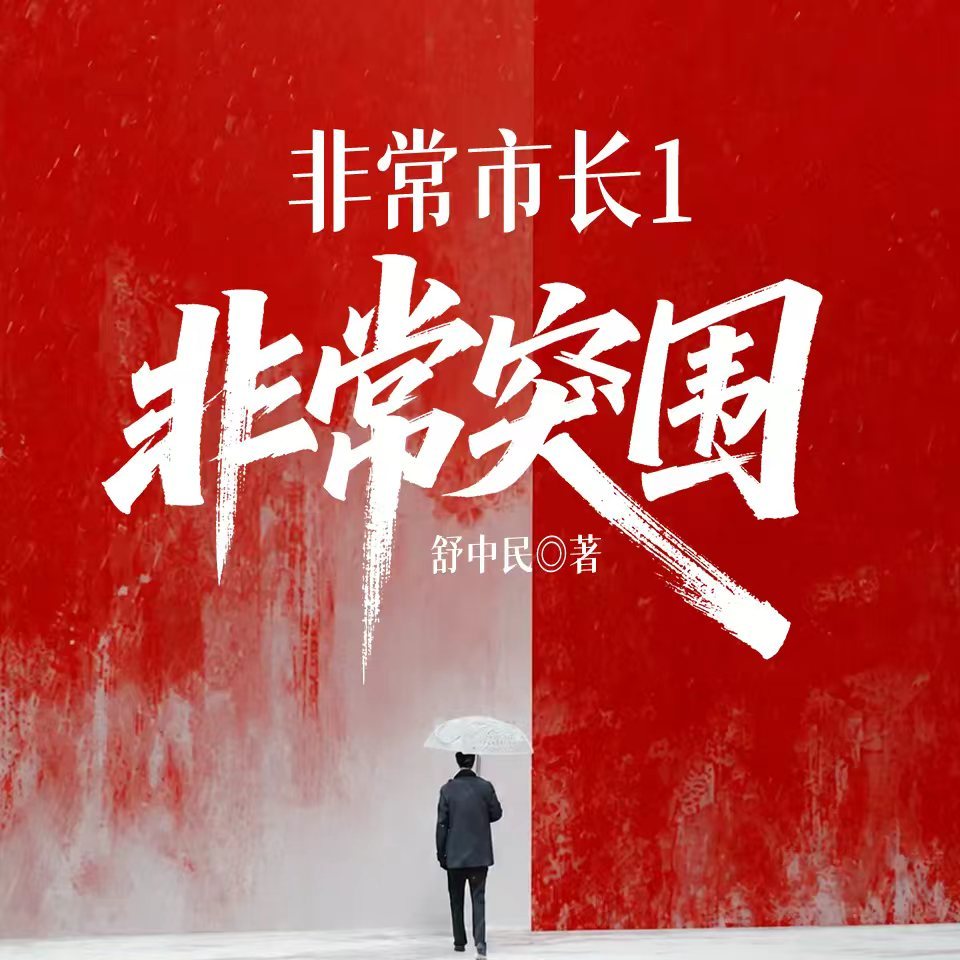 非常市长1：非常突围