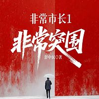 非常市长1：非常突围