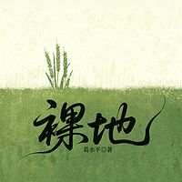 裸地