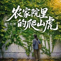 农家院里的爬山虎