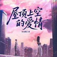 屋顶上空的爱情