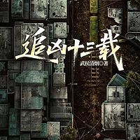 追凶十三载