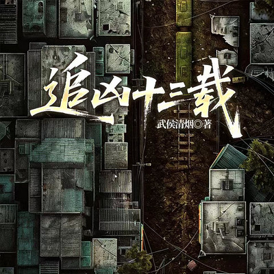 追凶十三载