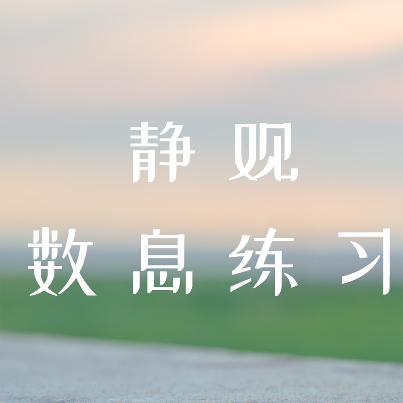 7天静观数息练习