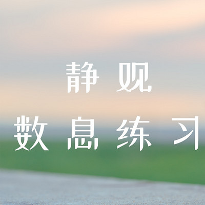 7天静观数息练习 7天静观数息练习