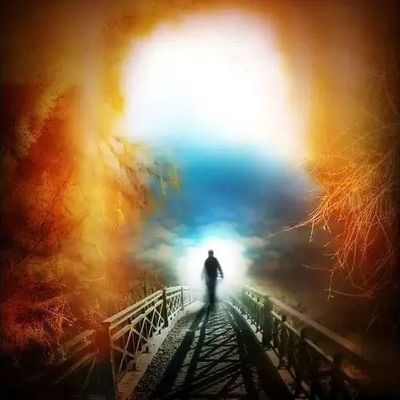 《神秘的生命灵光》作者：赵薇杨