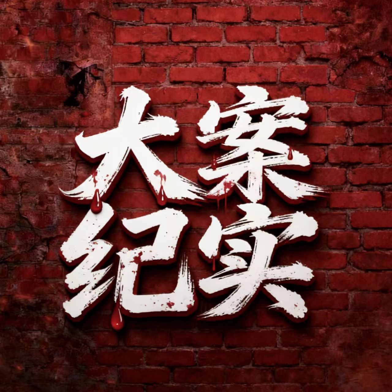 大案纪实|刑侦犯罪|犯罪者无处可逃