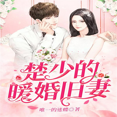楚少的暖婚旧妻