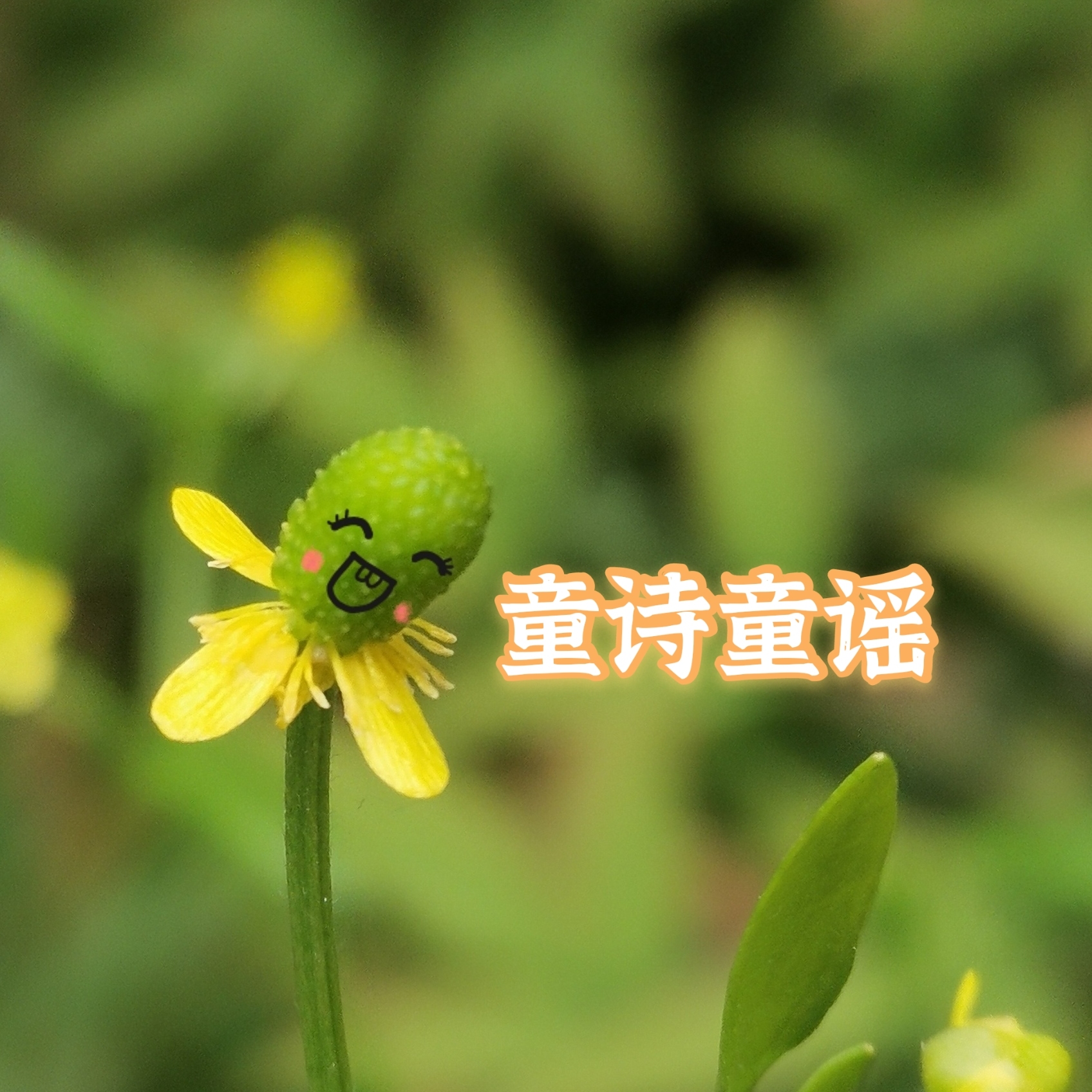 童诗童谣