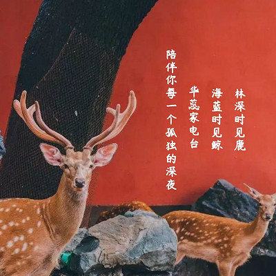 华蕊家FM