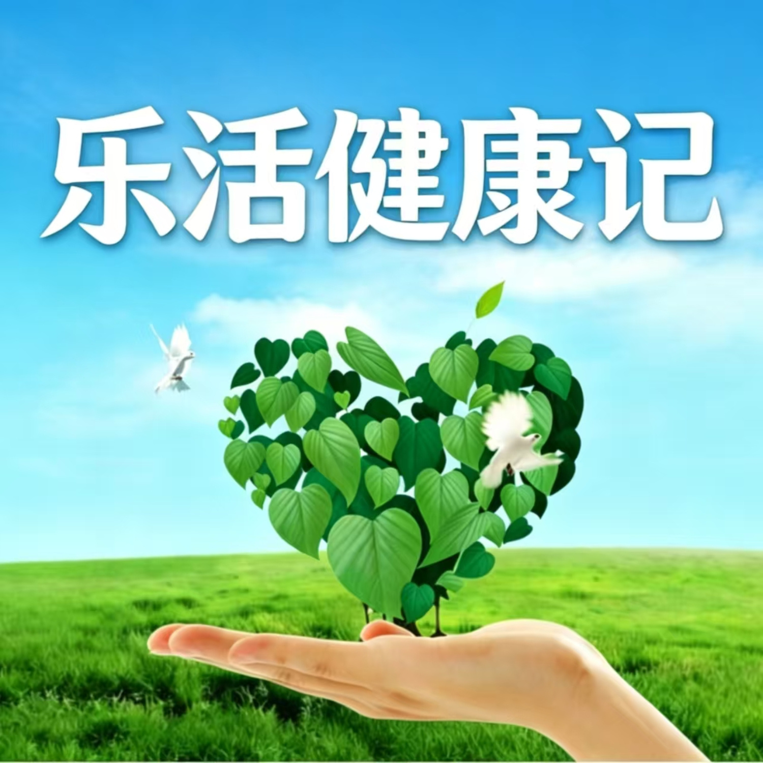 乐活健康记 | 全家健康养生合集
