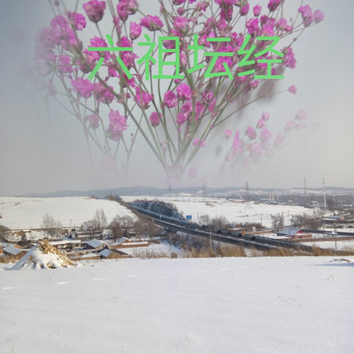 六祖大师法宝坛经读诵 六祖大师法宝坛经读诵