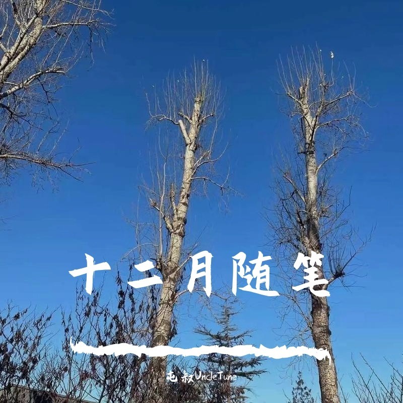 十二月的心情