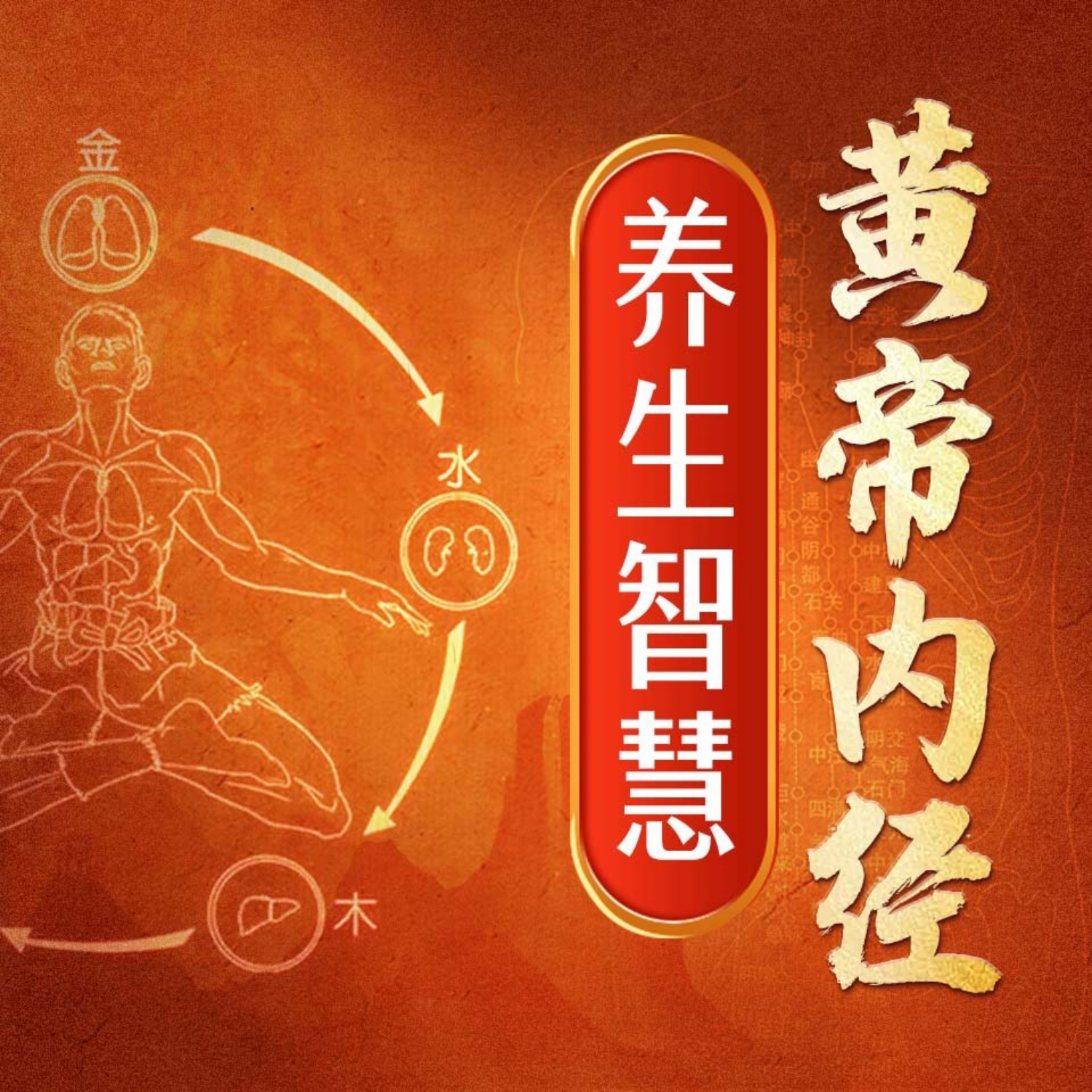 中医养生妙招丨补肾吃什么 podcast artwork