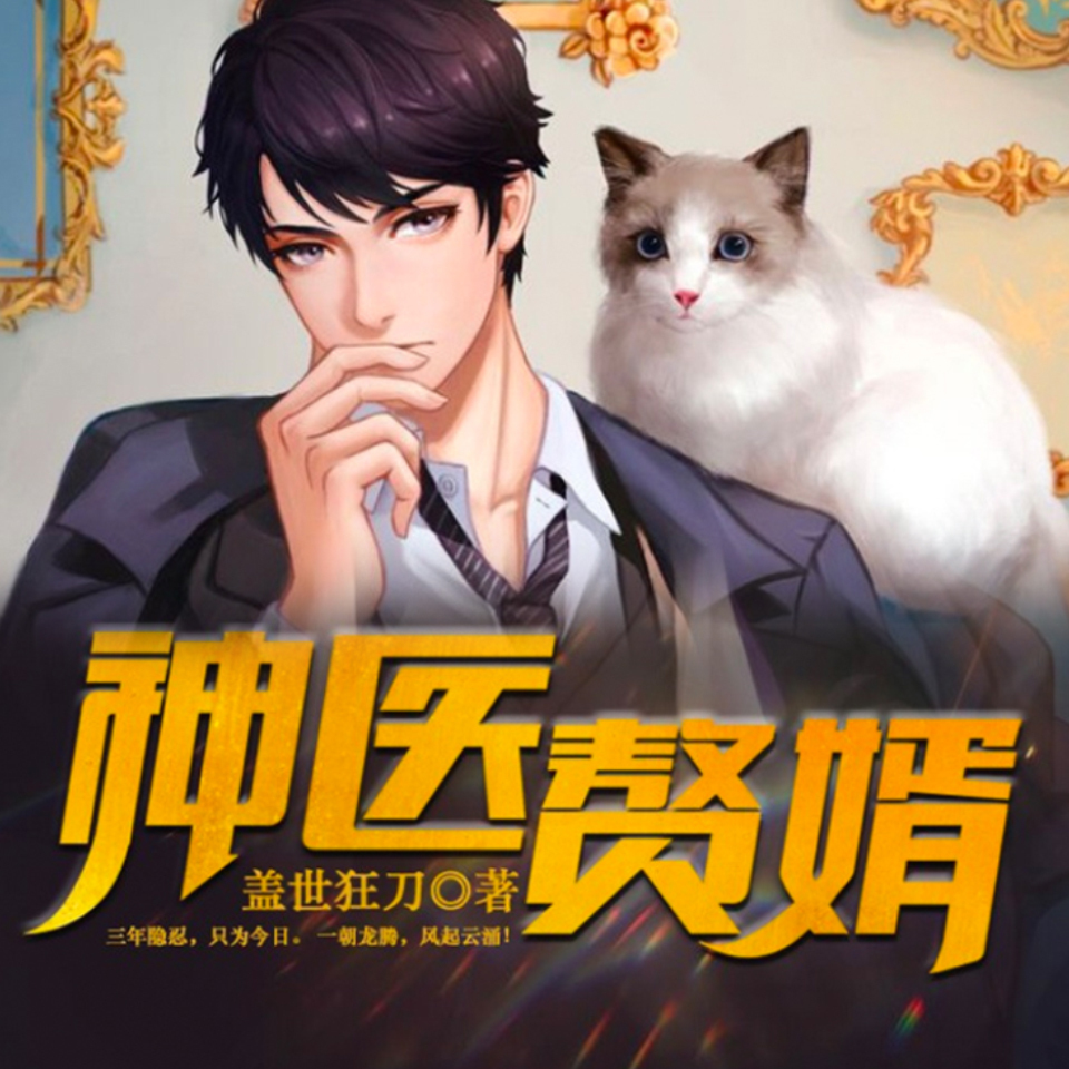 神医赘婿