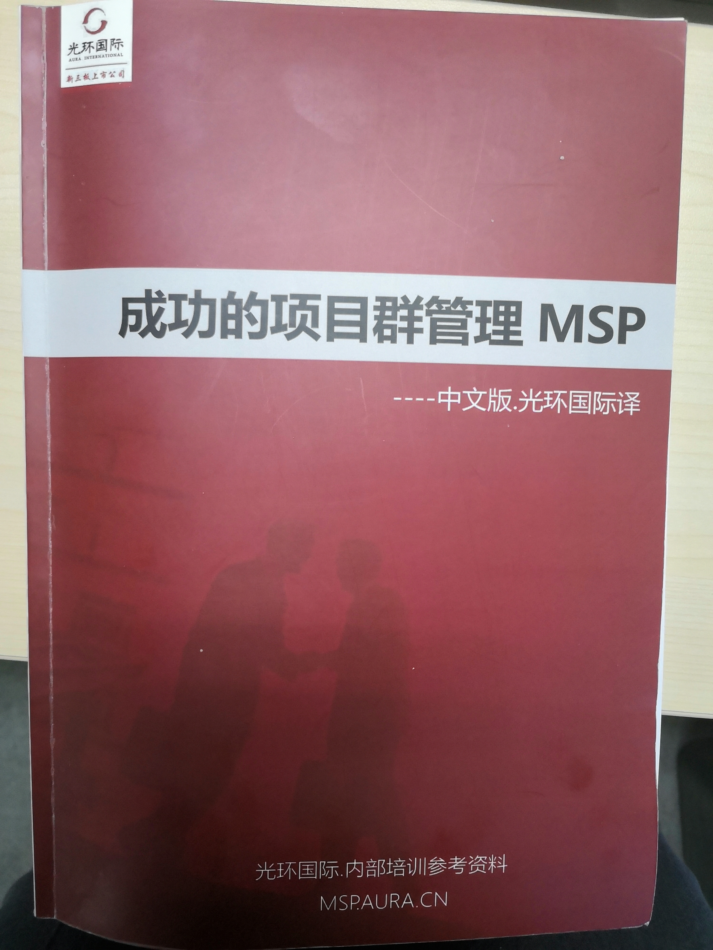 成功的项目群管理MSP