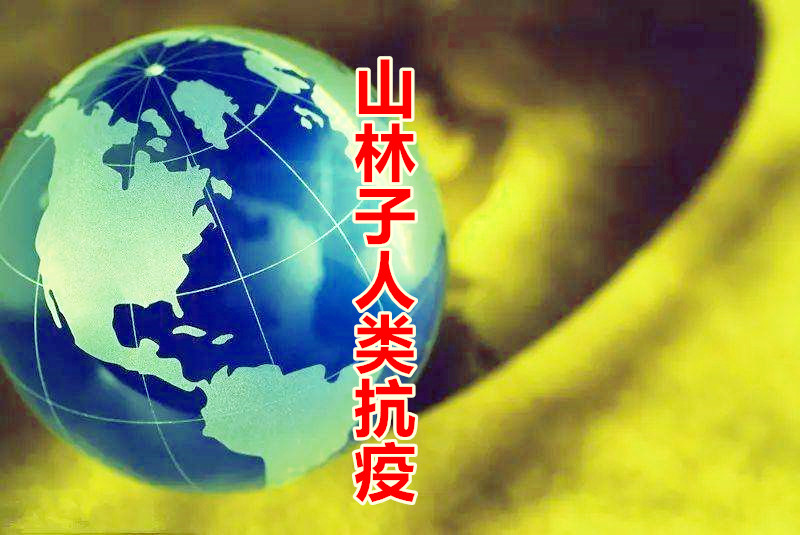 山林子人类抗疫  鹤清智慧教育工作室