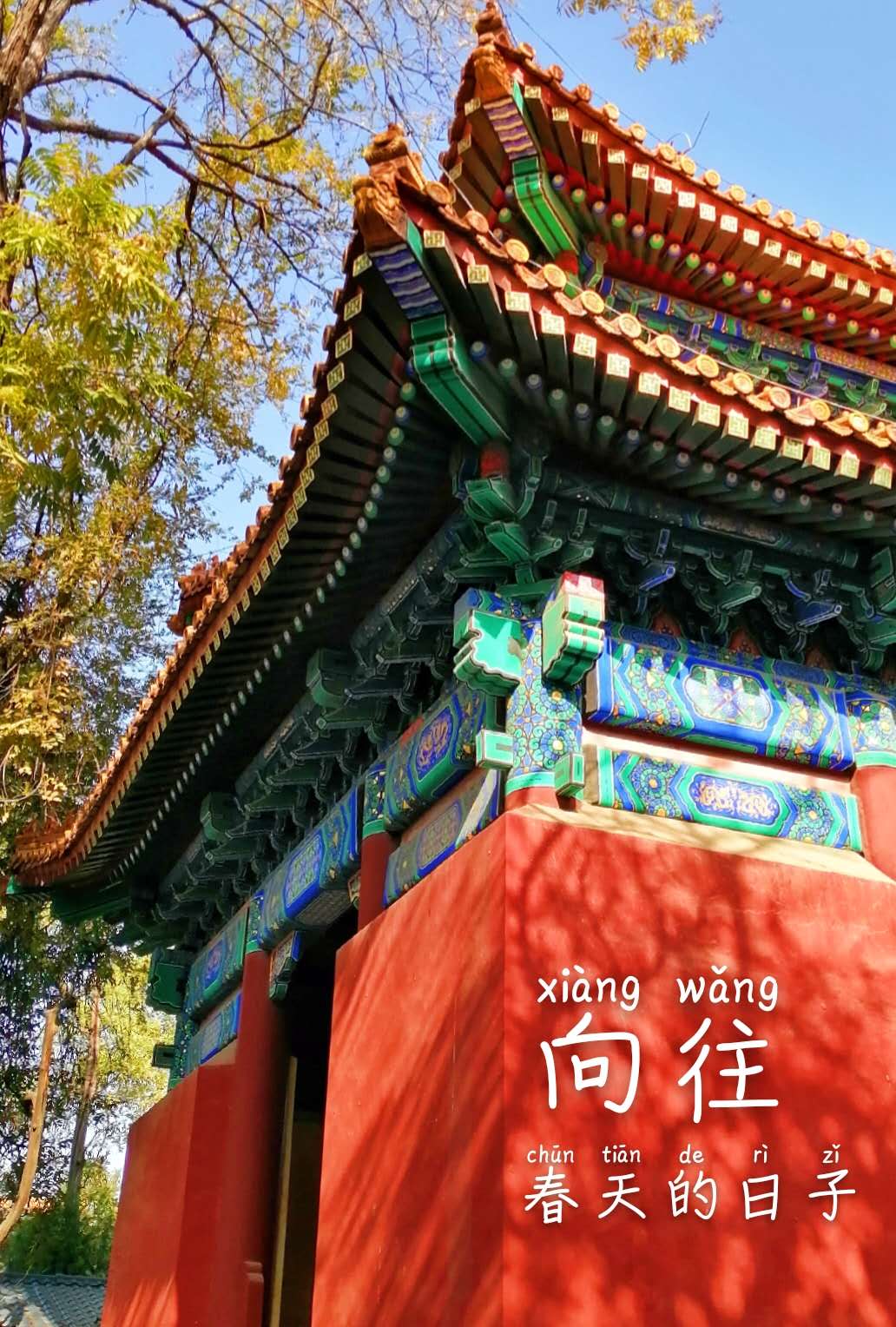 晓景点