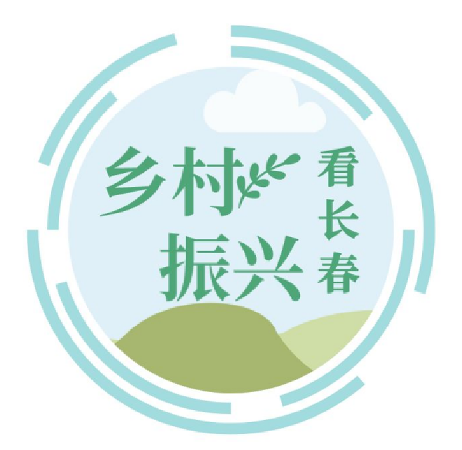 振兴路上