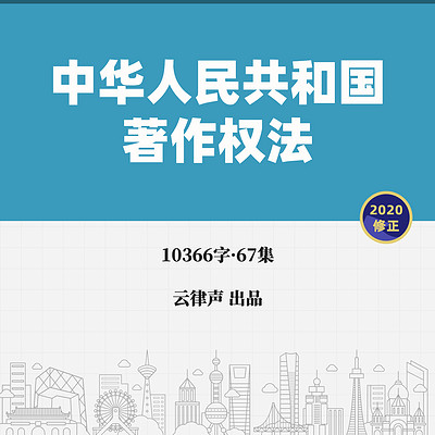 著作权法·2020版 著作权法·2020版