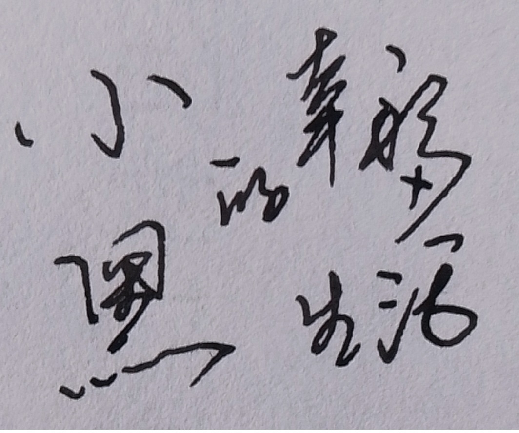 小黑的幸福小生活
