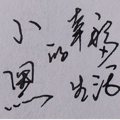 小黑的幸福小生活