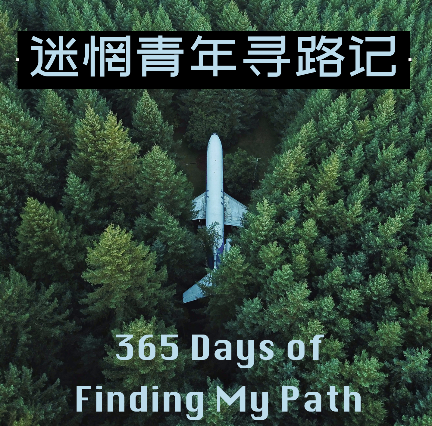 迷惘青年寻路记
