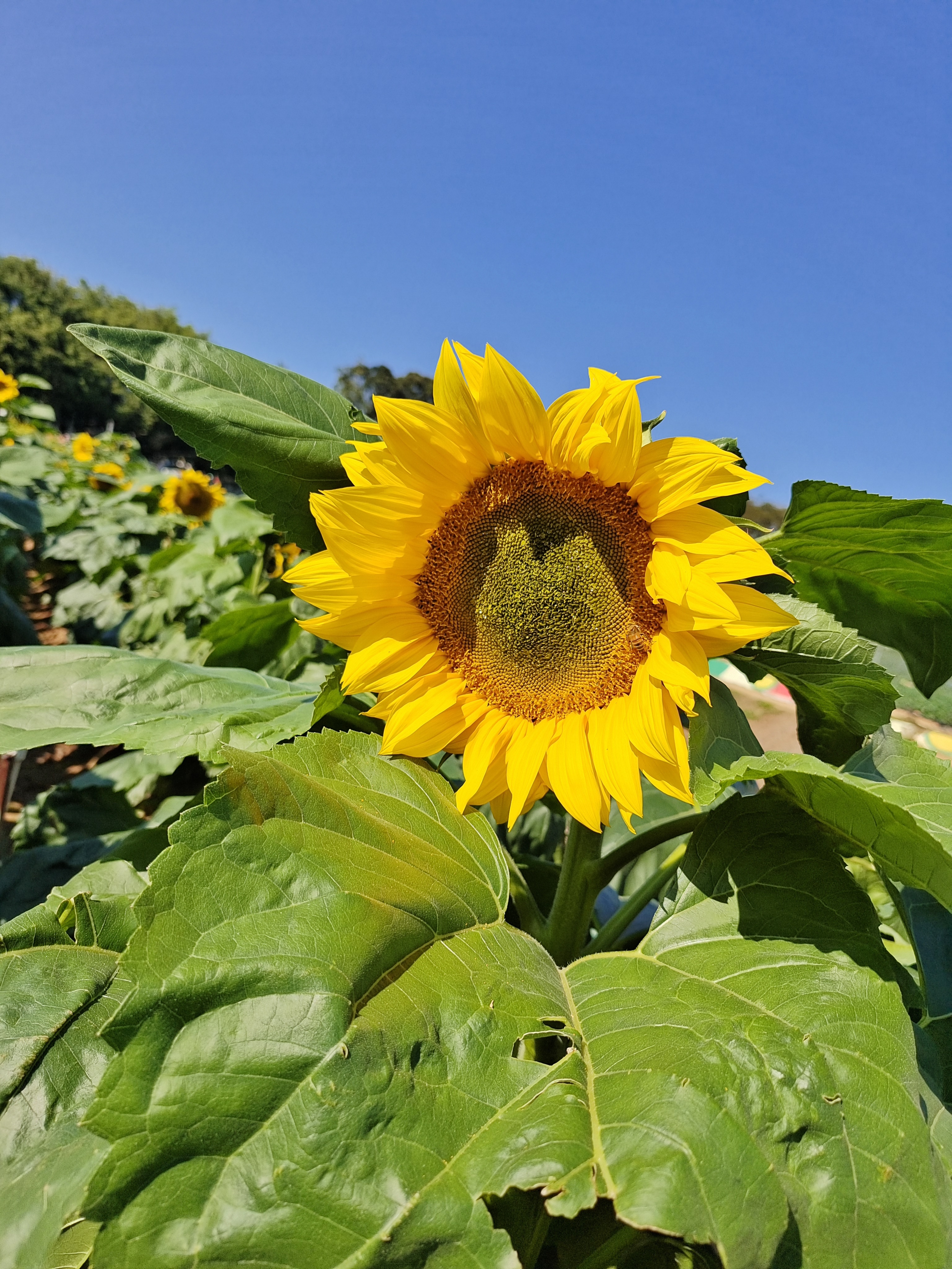 拾一点共鸣