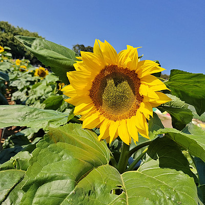 拾一点共鸣