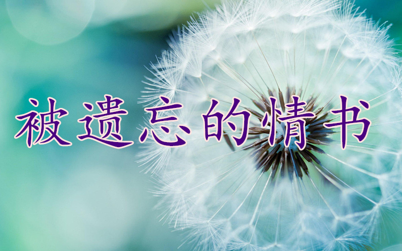 被遗忘的情书