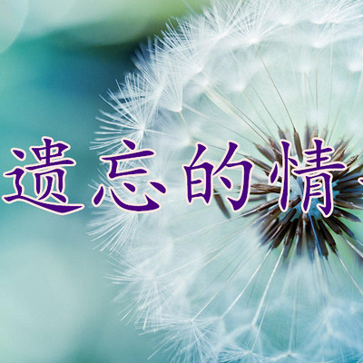 被遗忘的情书