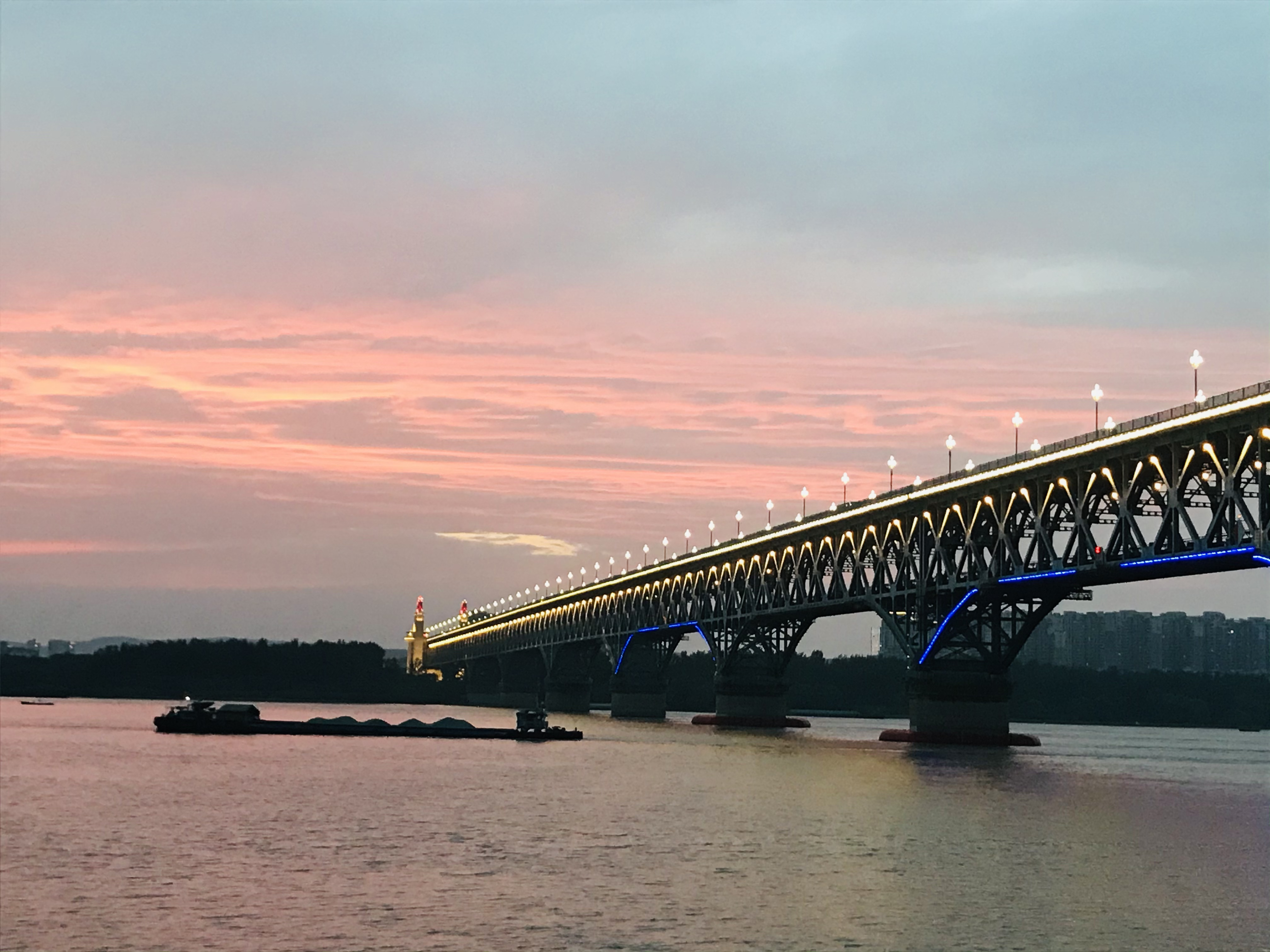 生命的重建